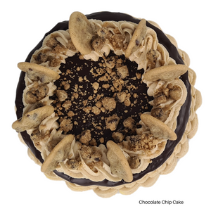 Chocolate Chip Cake