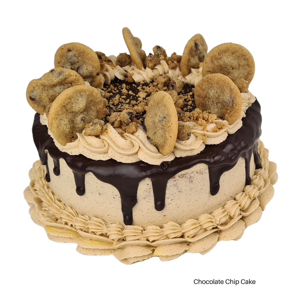 Chocolate Chip Cake